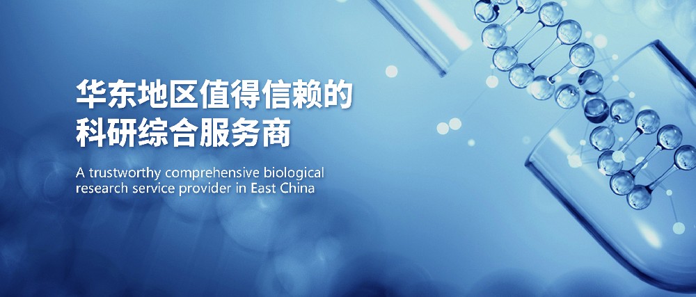 PDE的核心意义：不止合规，更是安全兜底